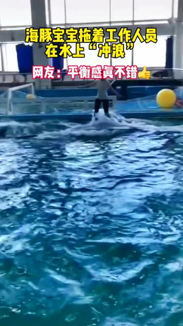 金刚菩提的瓣线会越来越大吗?-汇集最新、最热门的资讯与讨论
